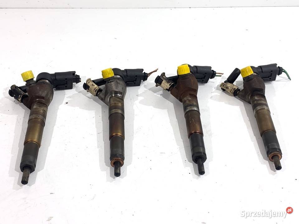 WTRYSKIWACZE KOMPLET RENAULT KADJAR H8201100113