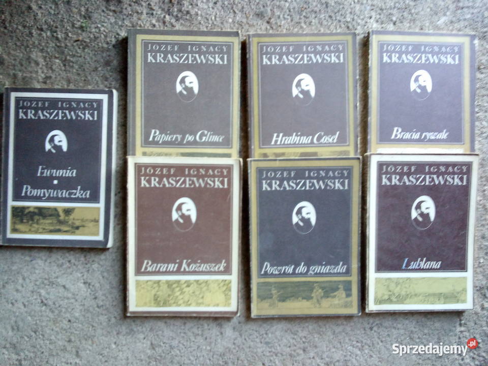 Józef Ignacy Kraszewski Papiery glinie Hrabina sprzedam