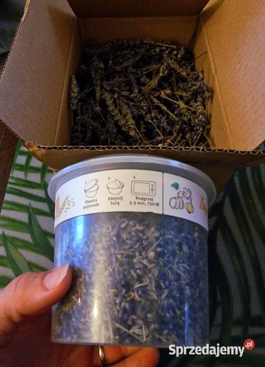 Suszona Lawenda Kraków sprzedam