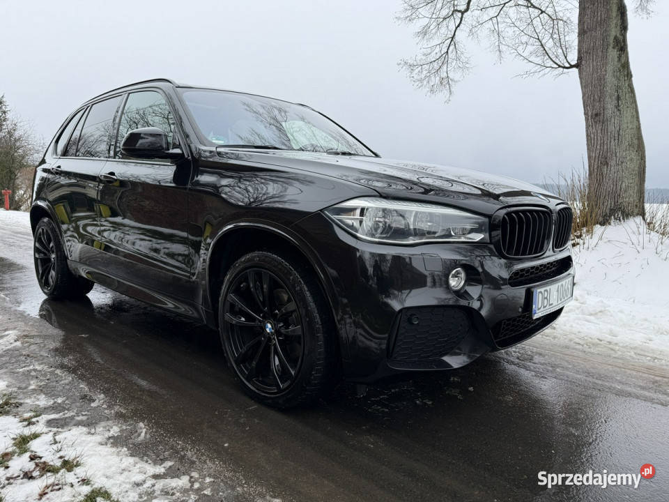BMW X5 30d 258 M Pakiet 107 ShadowLine Kamera elektrochrom. lusterko wst. Ocice
