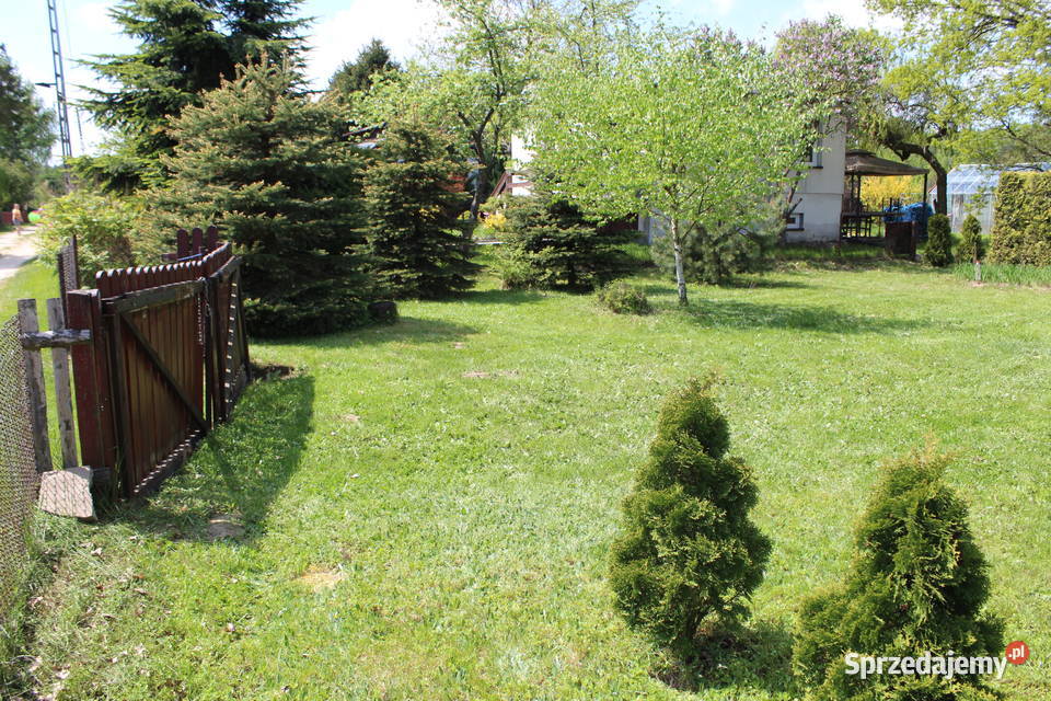 Działka ROD RELAX Nowosolna 80zł/m2 Sprzedaż sprzedam