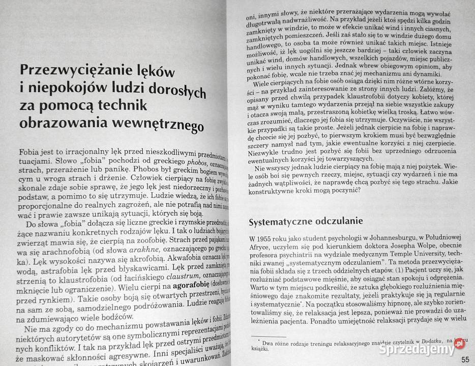 Wyobraźnia w psychoterapii Arnold A Lazarus lubelskie Chełm