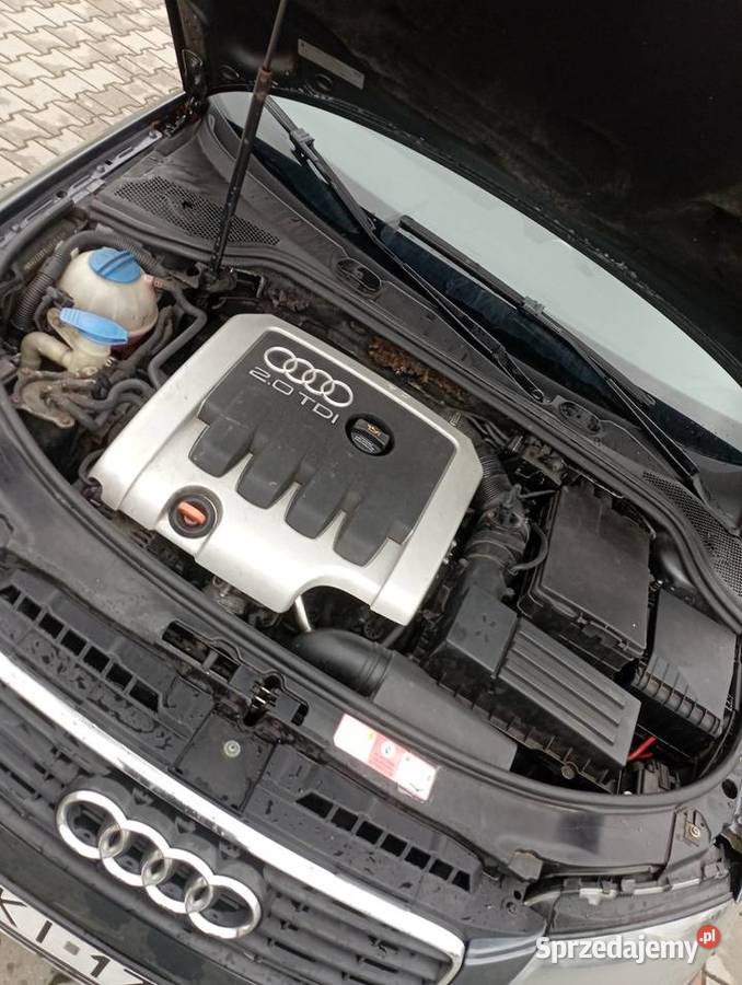 Audi A3 8P 2003r 140KM A3