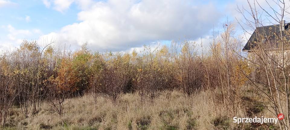 3 działki z MPZP w Wychowie k Luzina Sprzedaż Sychowo