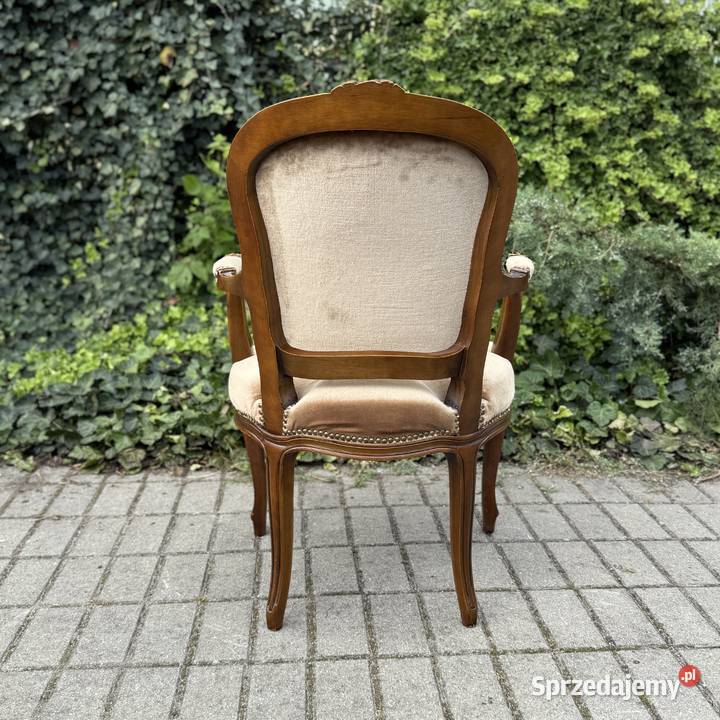 ARTexpert Wygodny Pałacowy fotel Ludwik welur Dobrzany