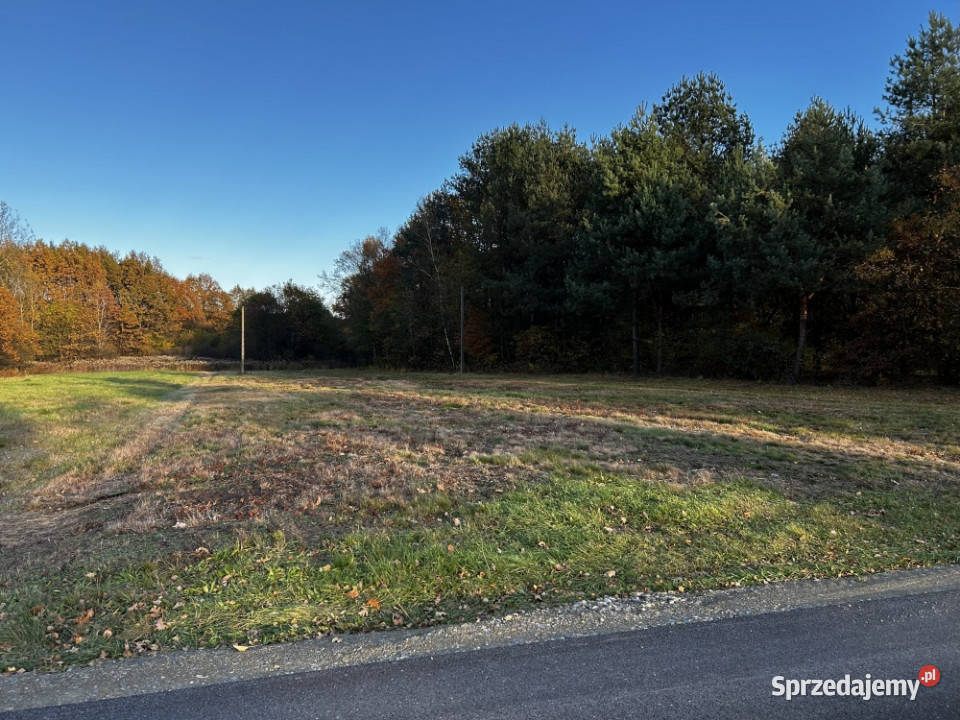 Działka w spokojnej okolicy Rydzów