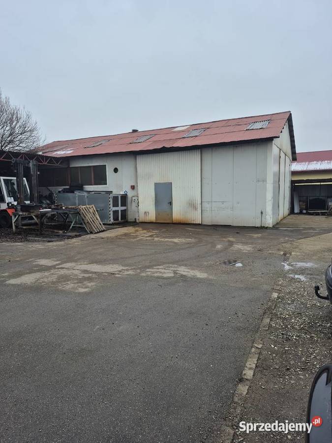 Sprzedam wydzierżawie 3 hale magazynowe Przecław