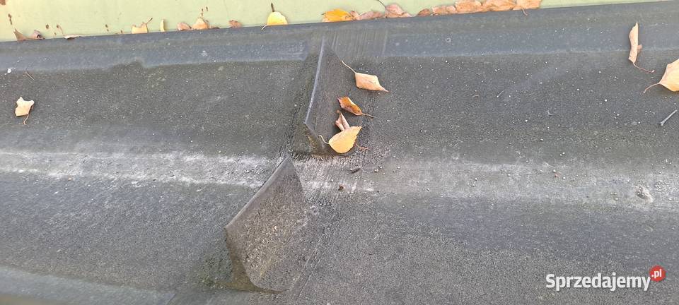 Przenośnik tasmowy taśmociąg 7 i 10 m Pozostałe Mamlicz