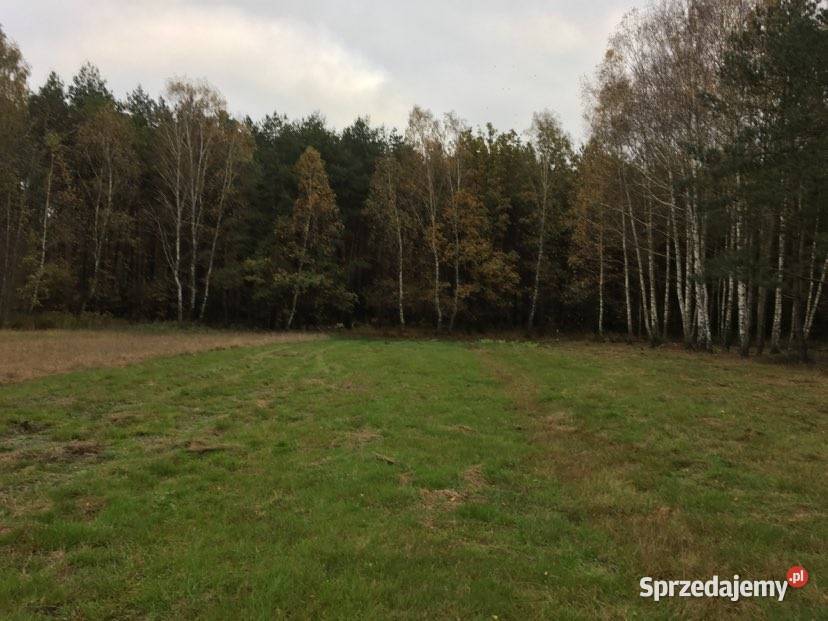 Piękna działka z częścią zalesioną Ogrodzona Samogoszcz