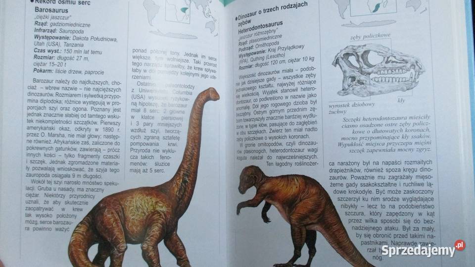 Łatwe odpowiedzi na trudne pytania wiedza nauka Łódź