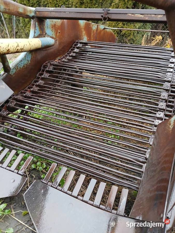 Kopaczka elewatorowa Kopaczka do ziemniaków Rzgów