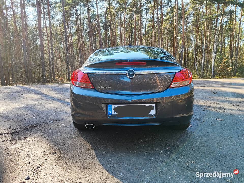 OPEL Insignia A 20Cdti skórzana tapicerka Brzóza
