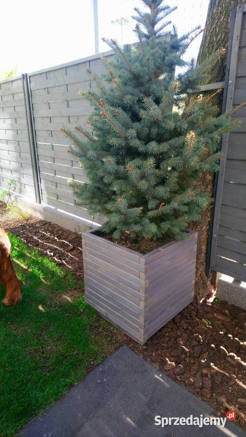 Doniczka drewniane z kantówki 50x50x50 producent