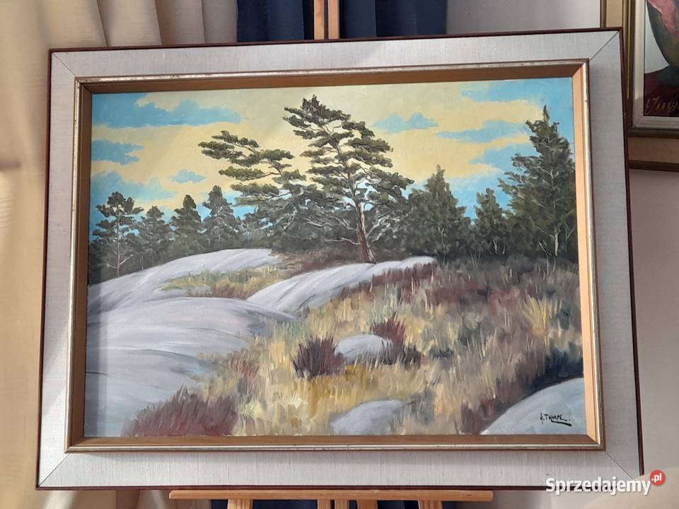 Thorpe Ake Olsson Szwedzka natura cenny obraz Iłża sprzedam