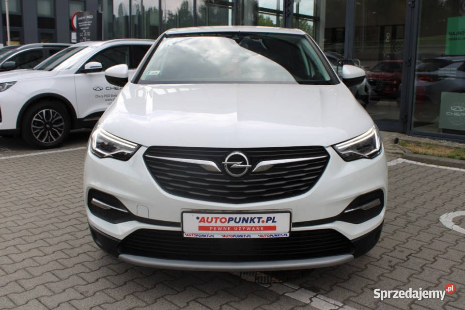 Opel Grandland X 2018r SalonPL LED CarPlay El Bielsko-Biała