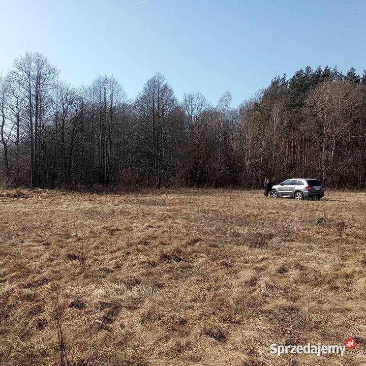 Zygmunty 3 028 m WZ dojazd asfalt 3028m2