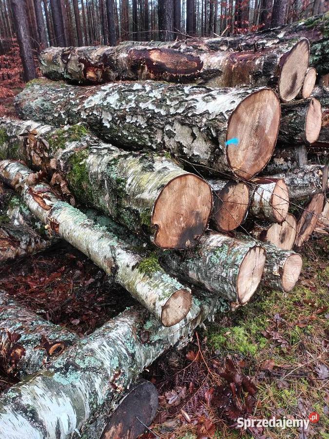 Drewno kominkowe opałowe Międzyrzecz