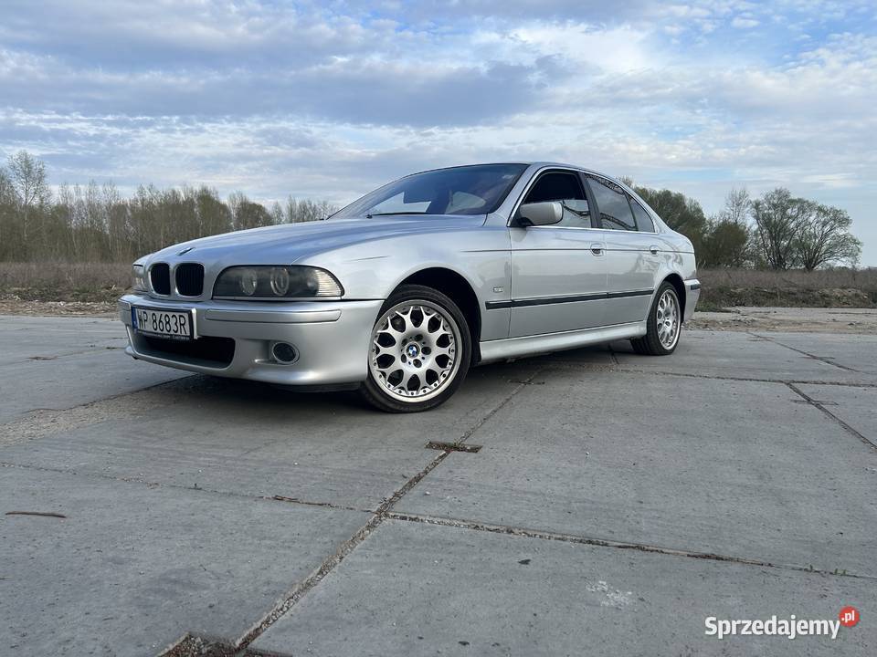 Sprzedam ciekawa e39 309000km Seria 5 kujawsko-pomorskie Skępe
