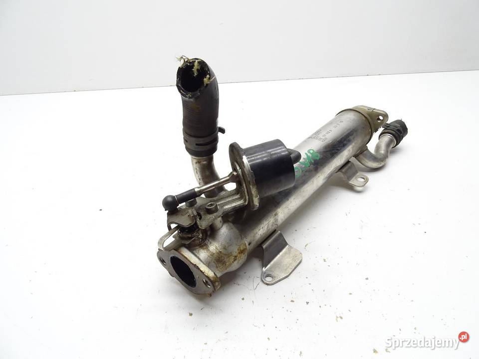 CHŁODNICA SPALIN EGR 03L131512B 20 TDI AUDI A3 osobowe