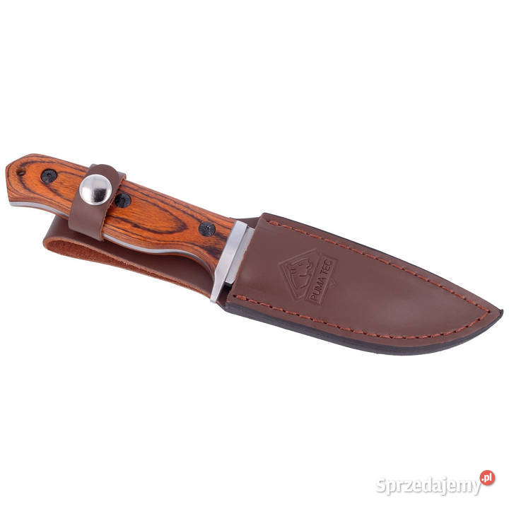 Nóż myśliwski Puma Solingen Pakka Wood Satin Warszawa