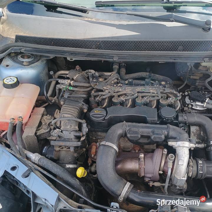 Ford Focus Sprzedaz Zamiana Bychawa sprzedam