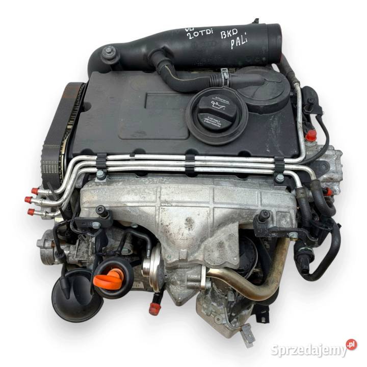 SILNIK BKD VW Golf V Jetta III Touran Skoda Silniki kompletne Chełm