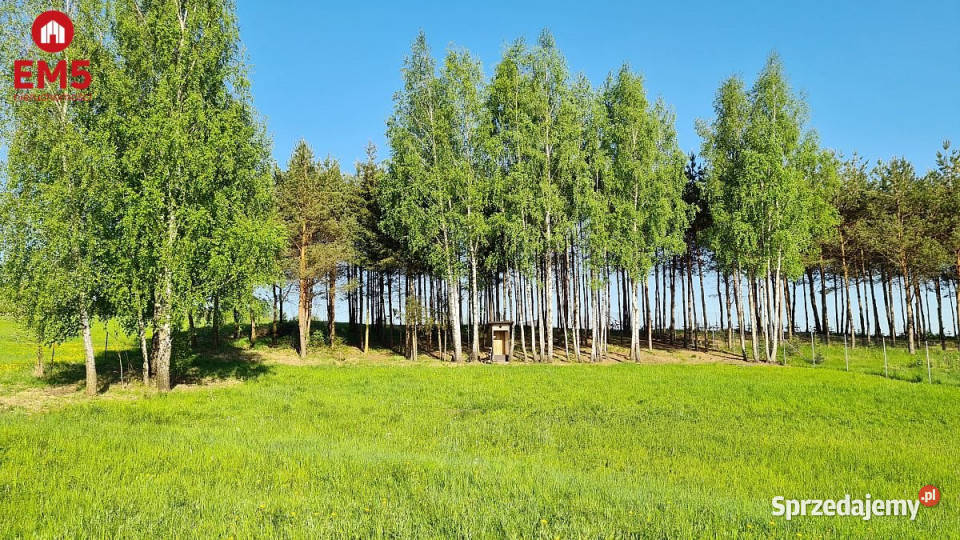 sprzedaży działki 2181m2 Krynice sprzedam