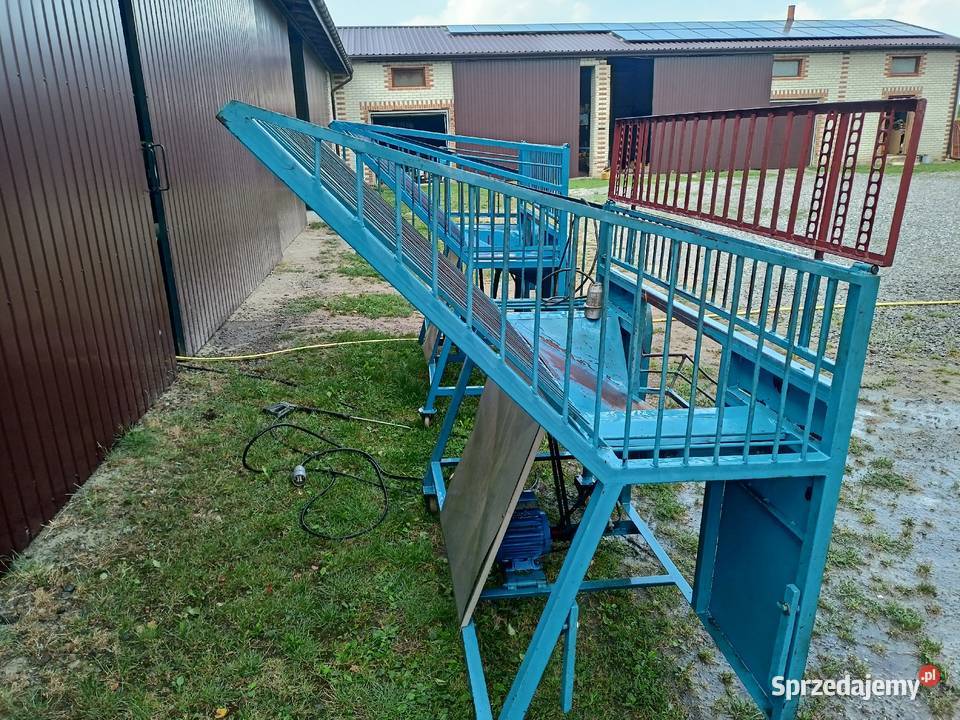 Czyszczarka obieraczka obcinaczka selera nieuszkodzony