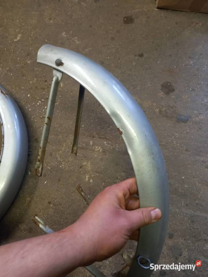 Błotniki romet ogar Sokołów Podlaski