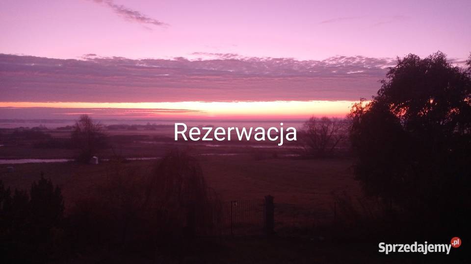 Honda Hornet PC36 sprzedam garażowany Burzyn