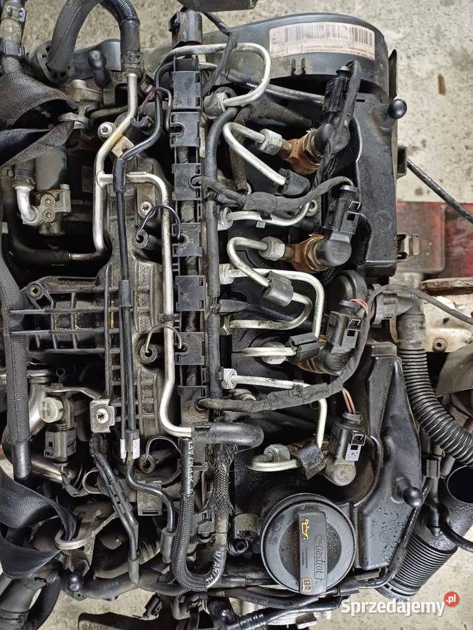Silnik vw 16 tdi caya skoda passat audi golf Pszczyna sprzedam