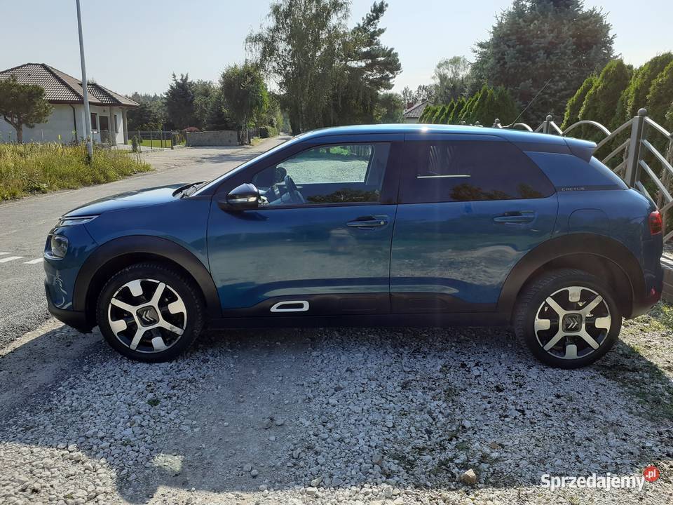 Citroen C4 Cactus 15 Citron BlueHDi Shine EAT6 C4 Cactus kujawsko-pomorskie Grudziądz