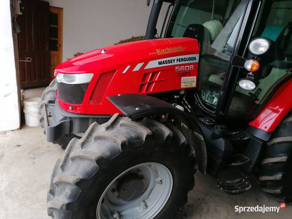 Massey ferguson 5608 5609 polski pierwszy Kowalewo Pomorskie