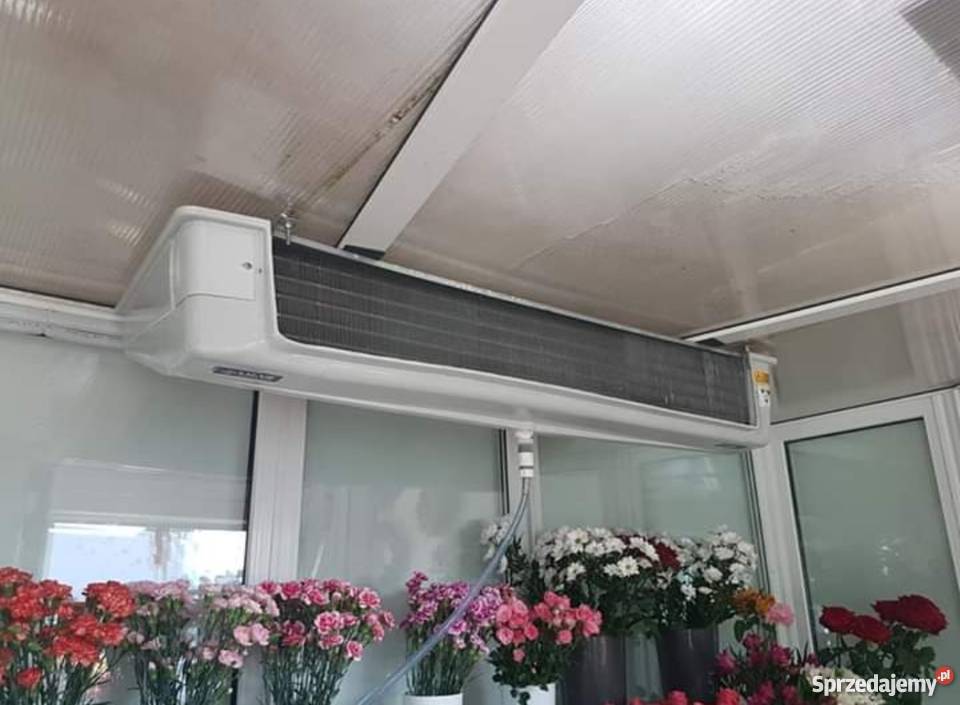 Chłodnia do kwiatów Poznań