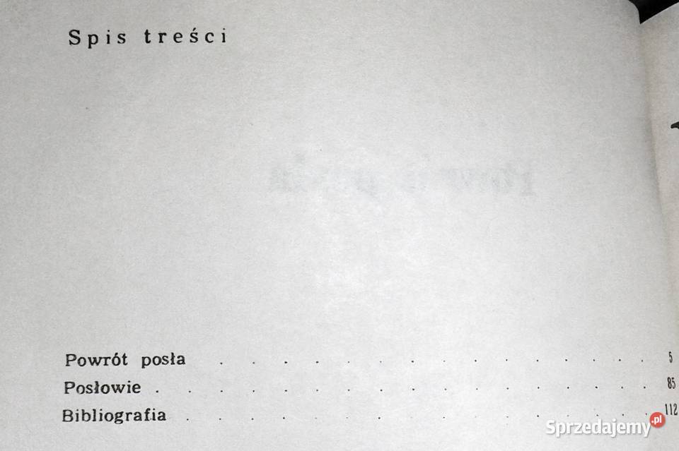 Powrót posła Julian Ursyn Niemcewicz lubelskie Chełm