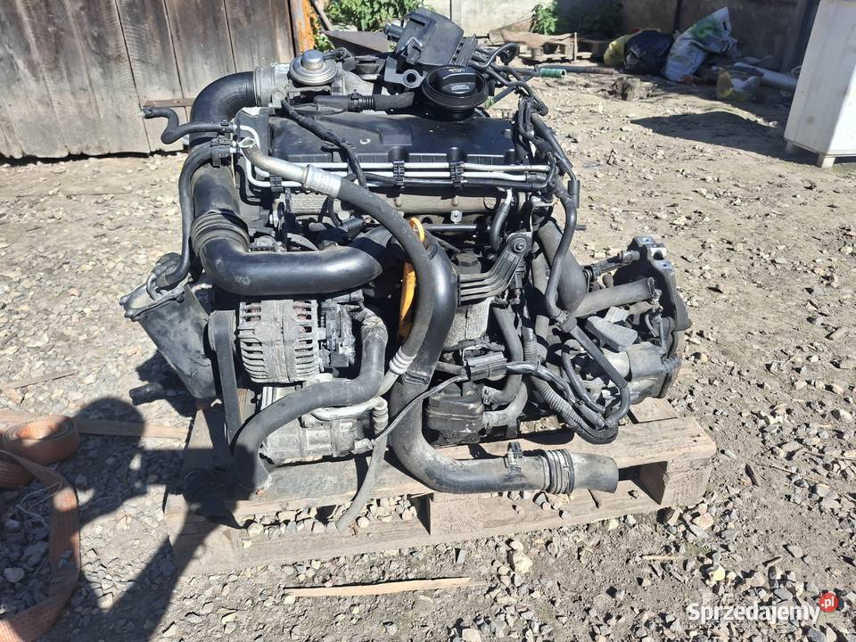 Silnik 19tdi z osprzętem i skrzynią Bodzentyn