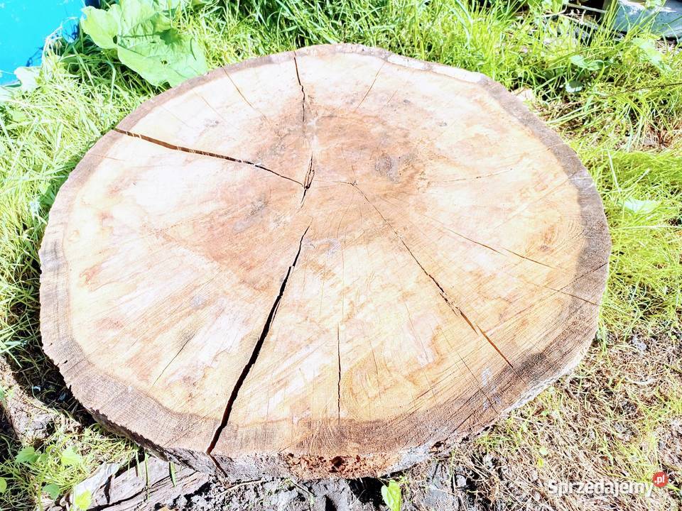 Plastry drewna 110cm zachodniopomorskie Szczecin sprzedam