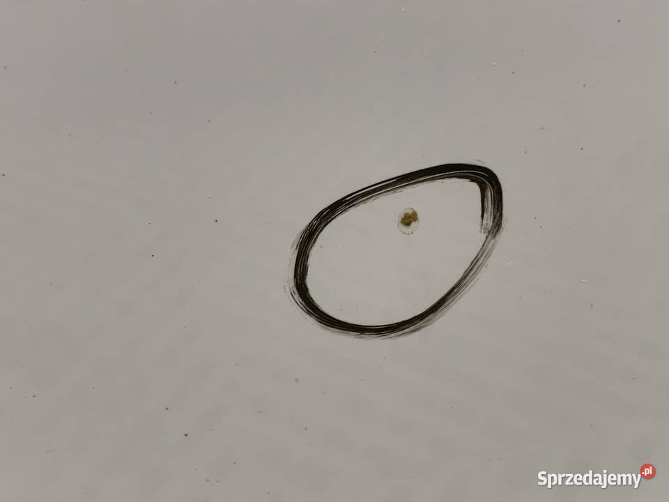 DRZWI PRAWY PRZÓD VOLVO V40 Hatchback ICE WHITE podkarpackie