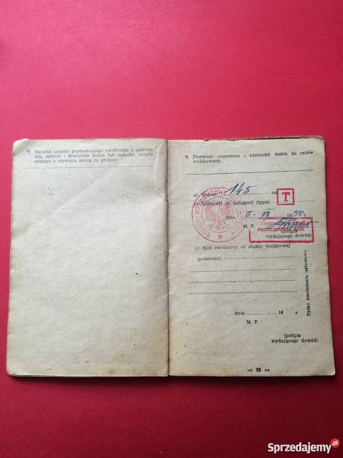 Dowód tożsamości konia zachodniopomorskie Szczecin sprzedam