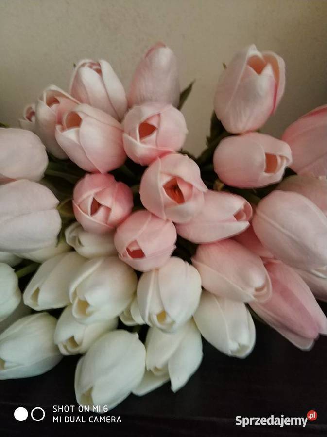 Tulipany lateksowe Dekoracje i ozdoby Straszęcin sprzedam