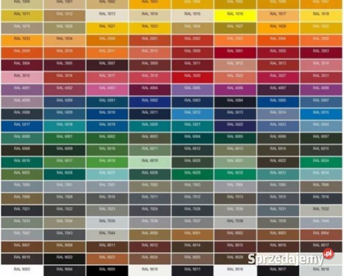 MALOWANIE AUT RAPTOREM