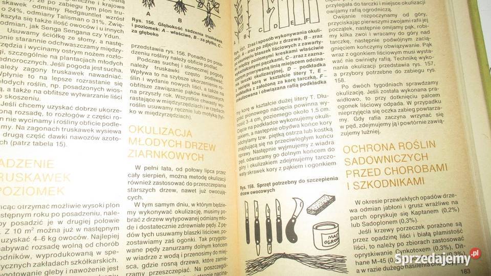 Zakładamy działkę na działce działka uprawa Łódź