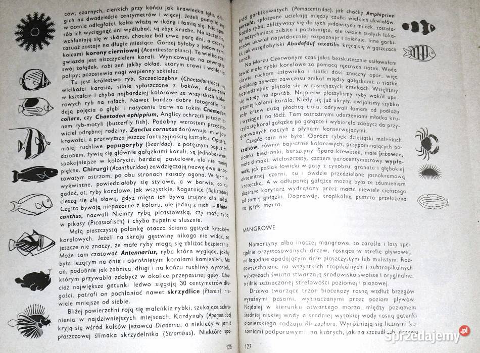 Zwierzęta i oceany Tomasz Umiński Chełm sprzedam