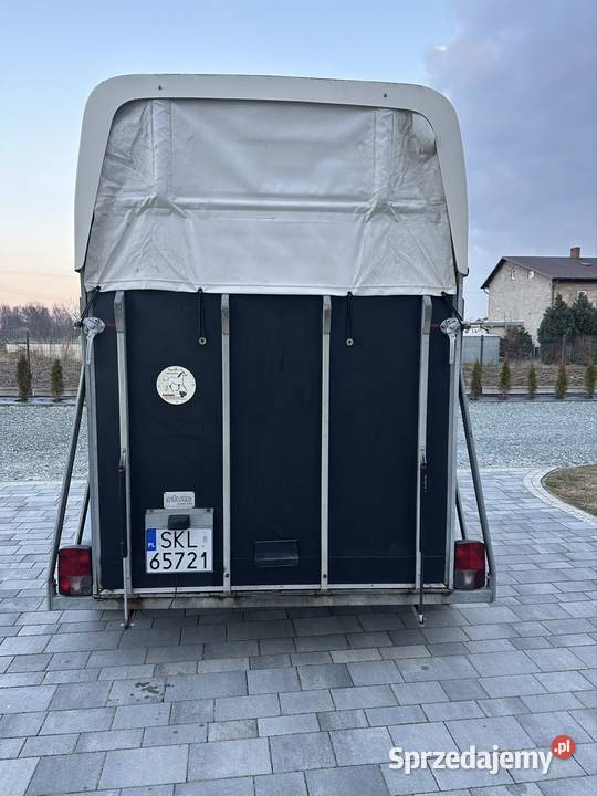 Dmc 1300 kat b przyczepa do przewozu koni Mokra