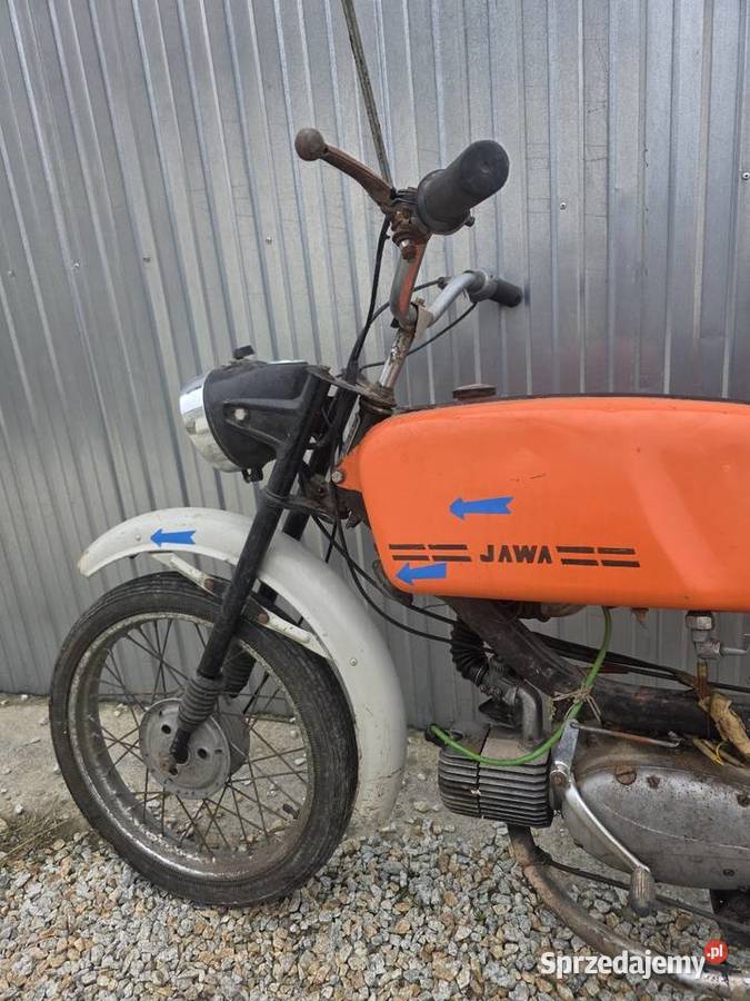 Jawka Mustang dolnośląskie Bratoszów