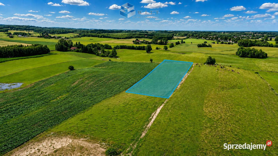 Działka 3200m2 Jurki