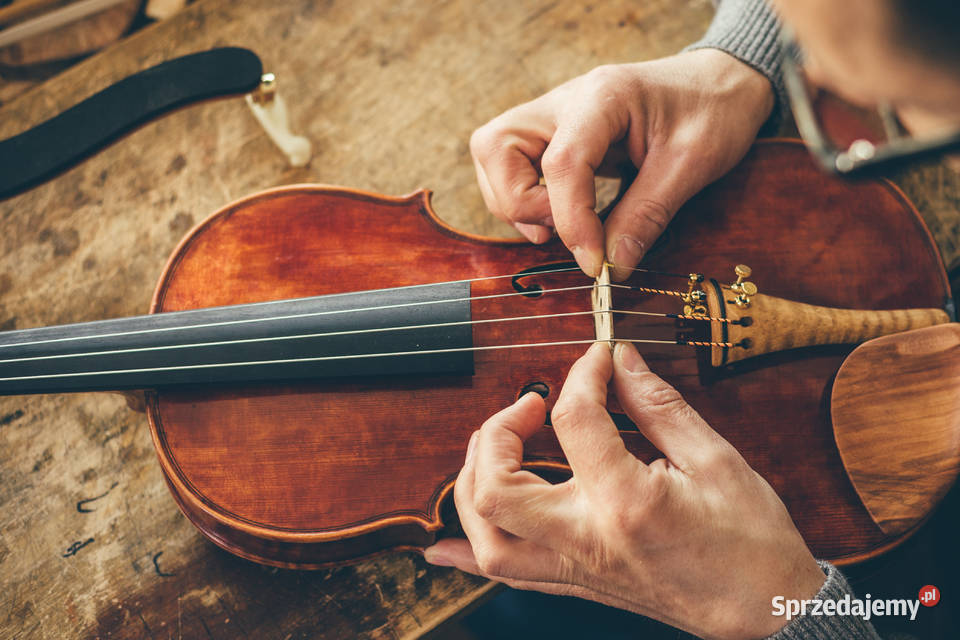 Profesjonalny Lutnik Serwis Instrumentów