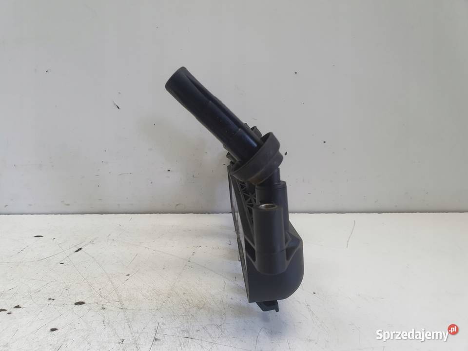 CEWKA ZAPŁONOWA Peugeot 206 14 8V 20161 BREMI lubelskie Rudka
