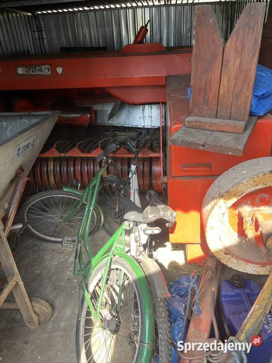 Prasa sipma