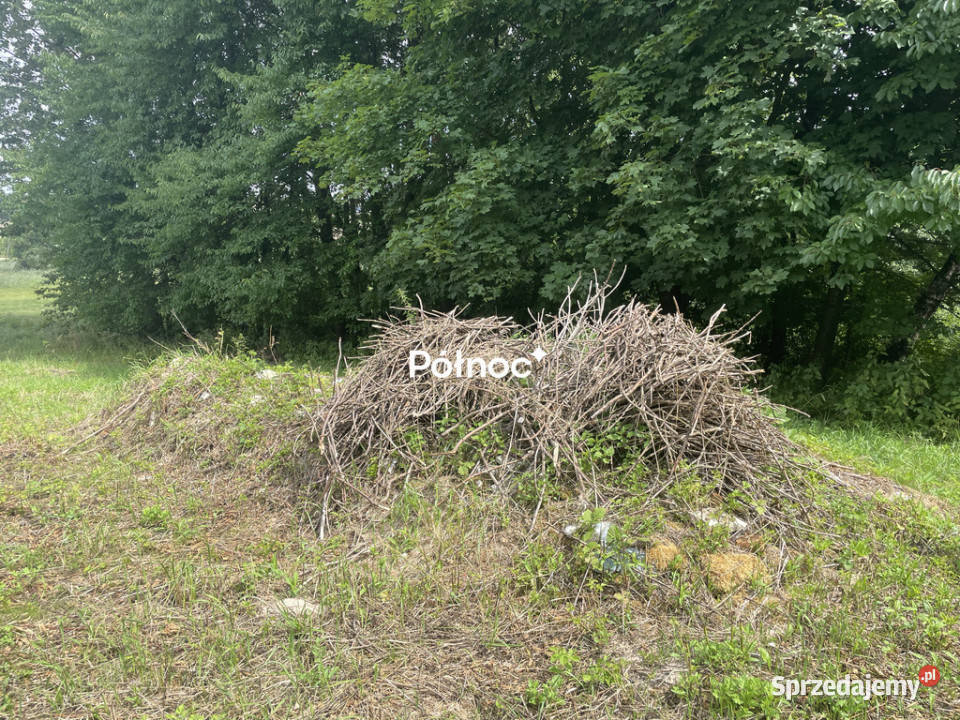 Piękna duża działka z potencjałem polna lubelskie Ostrówek